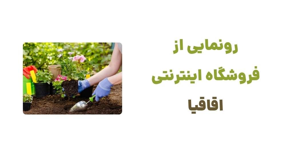 رونمایی از فروشگاه اینترنتی اقاقیا
