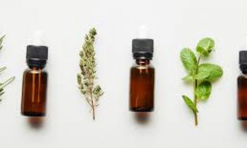 c1260106-5ef8-497d-9317-944be701e0b2