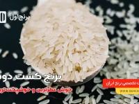gKMC4Xz61Ne9Yu7eeeKlr2RKt72nWOpZIRufnbaV